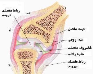 علوم هشتم فصل پنجم