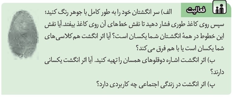 فعالیت صفحه 56 پاسخ نامه فعالیت های فصل 7 علوم هشتم