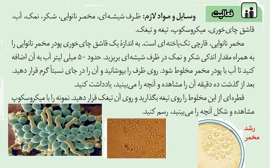 فعالیت صفحه 66 پاسخ نامه فعالیت های فصل 8 علوم هشتم