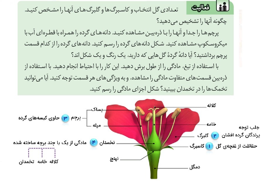 فعالیت صفحه 74