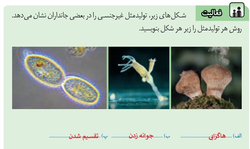 فعالیت صفحه 69 پاسخ نامه فعالیت های فصل 8 علوم هشتم