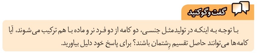 گفت و گو کنید صفحه 71 پاسخ نامه فعالیت های فصل 8 علوم هشتم