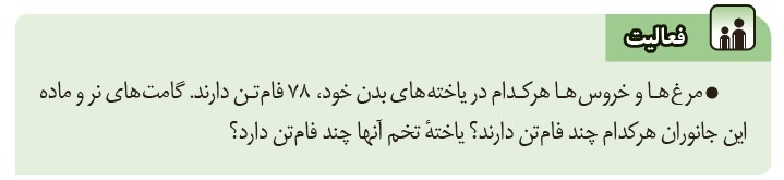 فعالیت صفحه 71 پاسخ نامه فعالیت های فصل 8 علوم هشتم