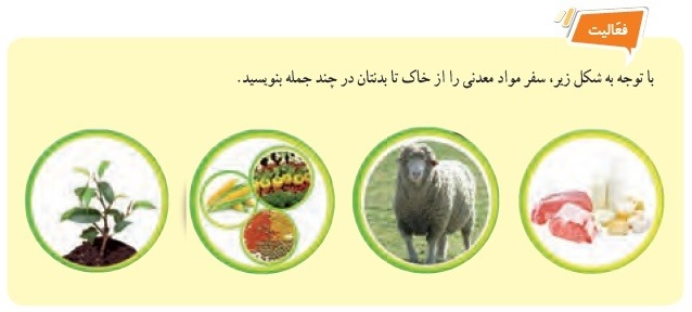 فعالیت صفحه 114 پاسخ نامه فعالیت های فصل 12 علوم هفتم ویرایش 1402