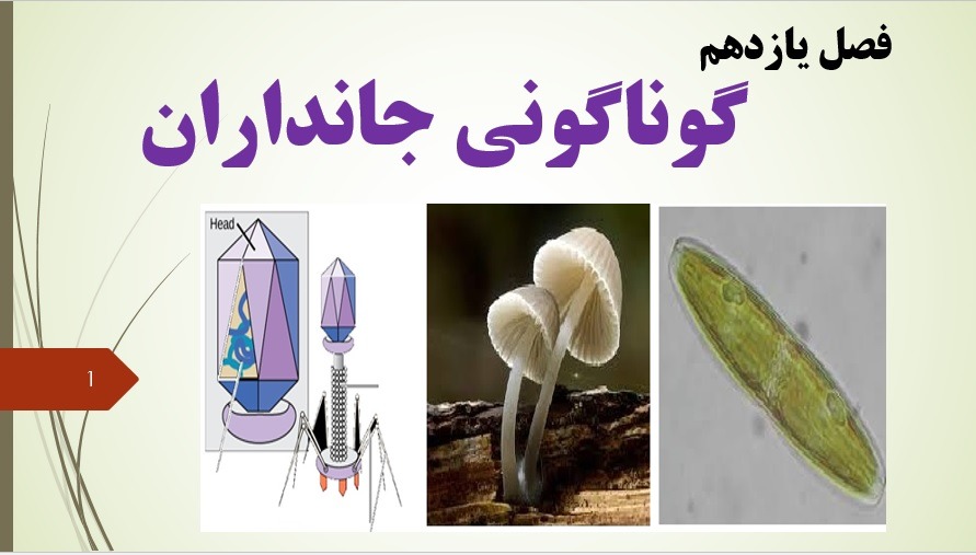 پاورپوینت علوم نهم فصل 11 اسلاید 1