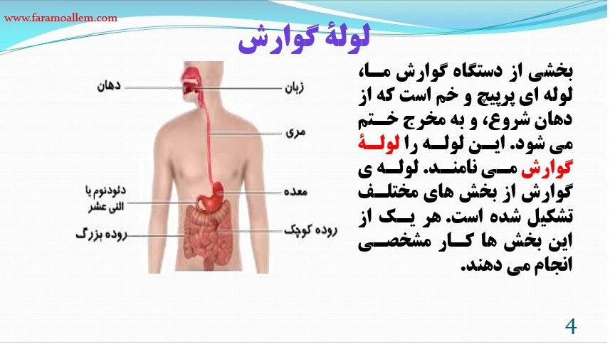 پاورپوینت علوم هفتم فصل 13 اسلاید 4