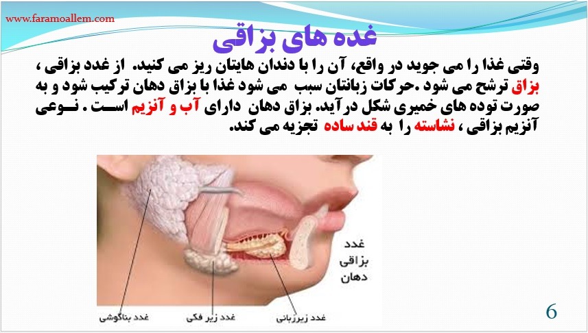 پاورپوینت علوم هفتم فصل 13 اسلاید 6