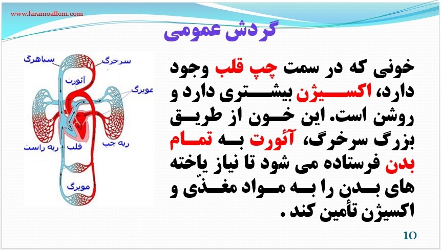 پاورپوینت-علوم-هفتم-فصل-14 اسلاید 10
