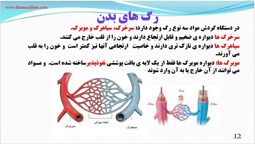 پاورپوینت-علوم-هفتم-فصل-14 اسلاید 12