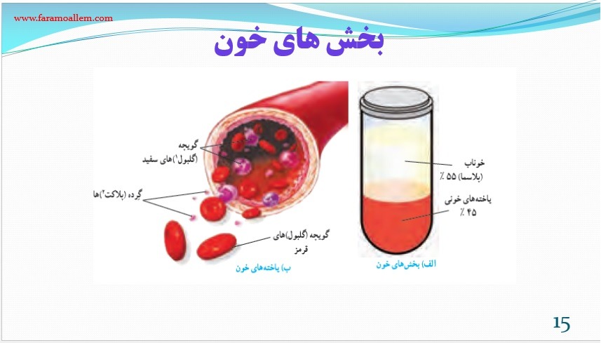پاورپوینت-علوم-هفتم-فصل-14 اسلاید 15
