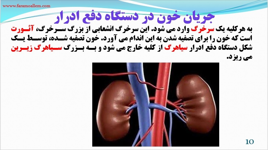 پاورپوینت علوم هفتم فصل 15 اسلاید 10