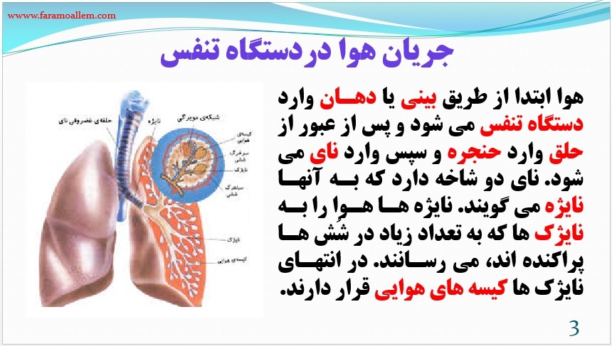 پاورپوینت علوم هفتم فصل 15 اسلاید 3