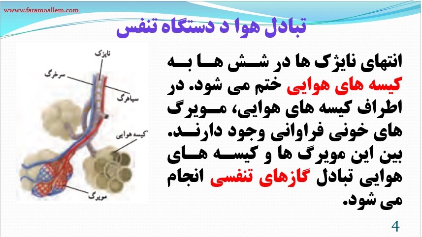 پاورپوینت علوم هفتم فصل 15 اسلاید 4
