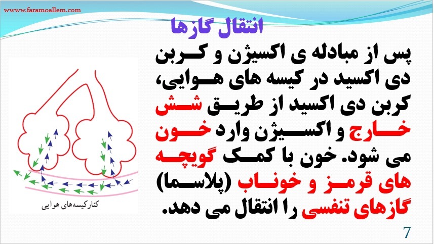 پاورپوینت علوم هفتم فصل 15 اسلاید 7