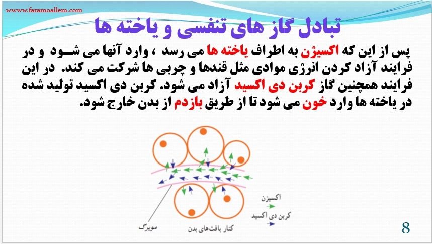 پاورپوینت علوم هفتم فصل 15 اسلاید 8