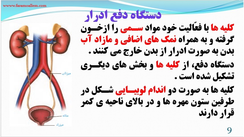 پاورپوینت علوم هفتم فصل 15 اسلاید 9