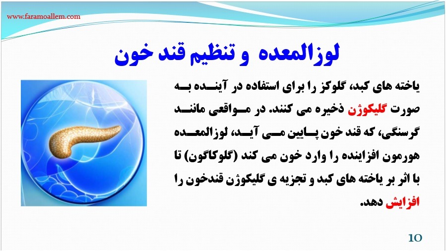 پاورپوینت علوم هشتم فصل 6 اسلاید 10