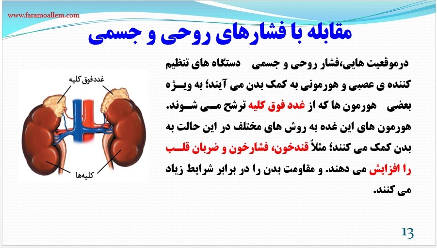 پاورپوینت علوم هشتم فصل 6 اسلاید 13