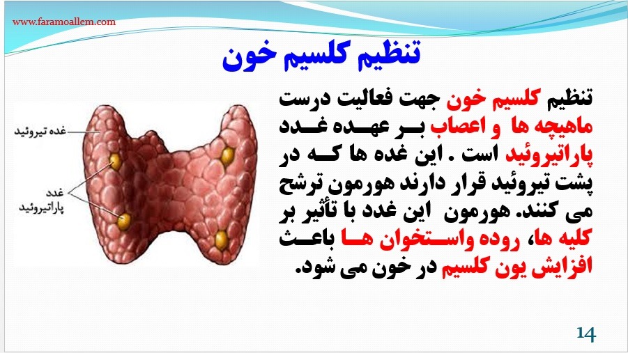 پاورپوینت علوم هشتم فصل 6 اسلاید 14