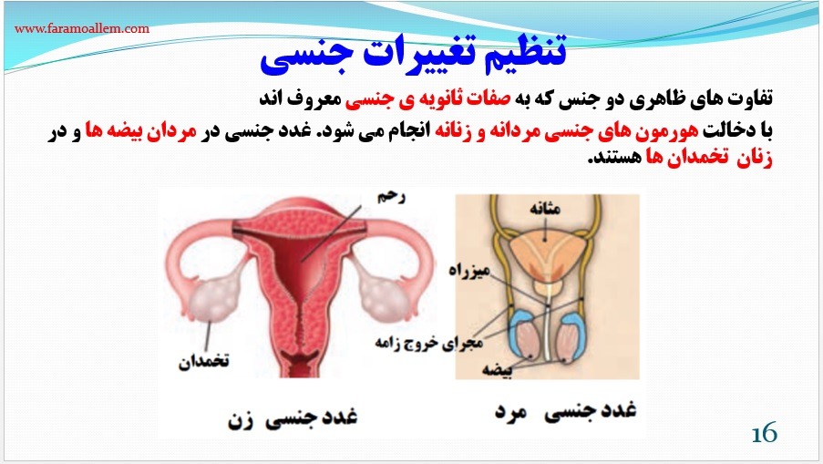 پاورپوینت علوم هشتم فصل 6 اسلاید 16
