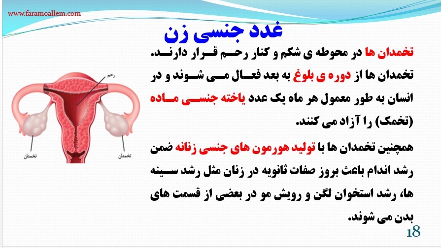 پاورپوینت علوم هشتم فصل 6 اسلاید 18