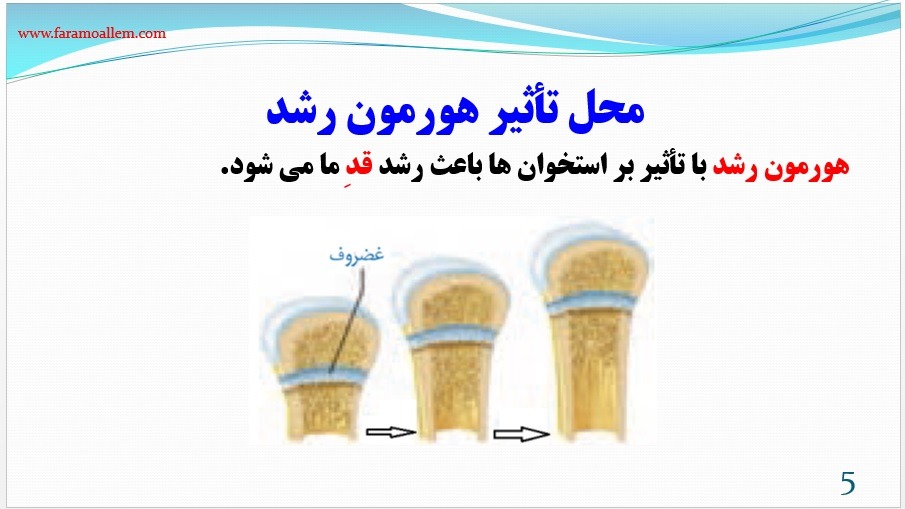 پاورپوینت علوم هشتم فصل 6 اسلاید 5