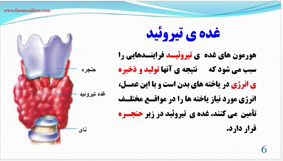 پاورپوینت علوم هشتم فصل 6 اسلاید 6
