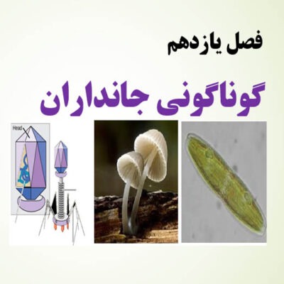 پاورپوینت فصل 10علوم نهم اسلاید 0