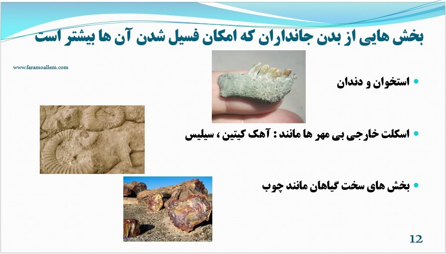 پاورپوینت فصل 7 علوم نهم اسلاید 12
