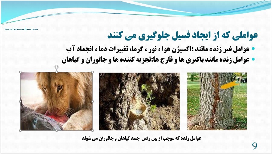 پاورپوینت فصل 7 علوم نهم اسلاید 9