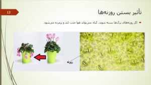 پاورپوینت علوم پنجم درس 12 اسلاید 13