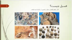 پاورپوینت علوم پنجم درس 4 اسلاید 3
