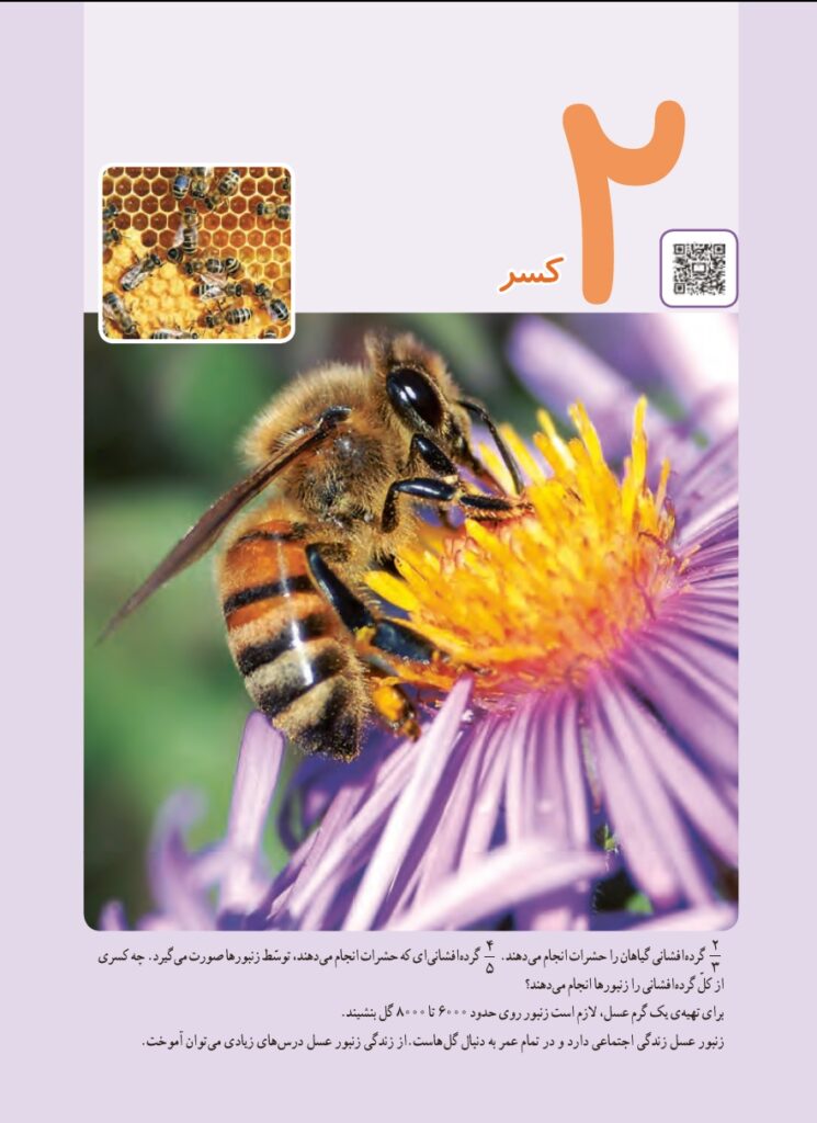 گام به گام ریاضی پنجم فصل 2 : کسر