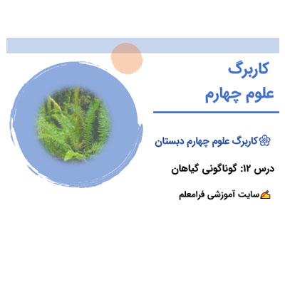 PDF کاربرگ علوم چهارم درس 12