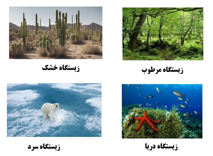 درسنامه علوم چهارم درس 13 زیست بوم