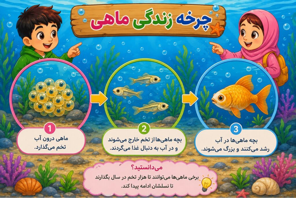 درسنامه علوم سوم درس 13 شماره 4