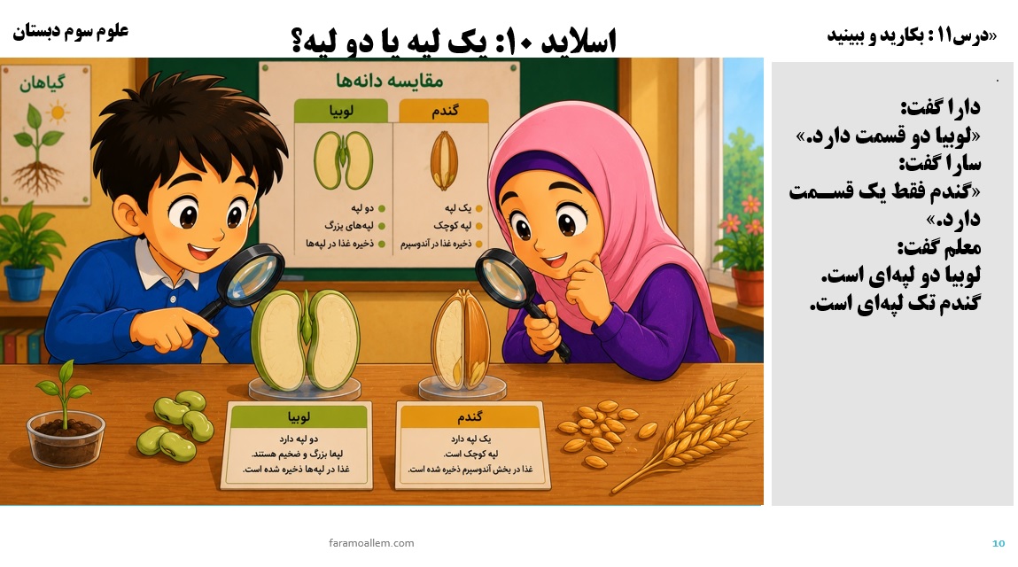 پاورپوینت علوم سوم درس 11 اسلاید 10