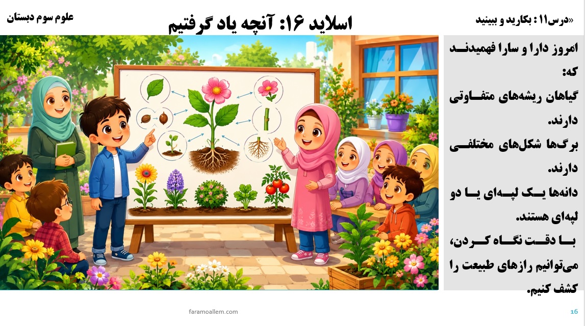 پاورپوینت علوم سوم درس 11 اسلاید 16