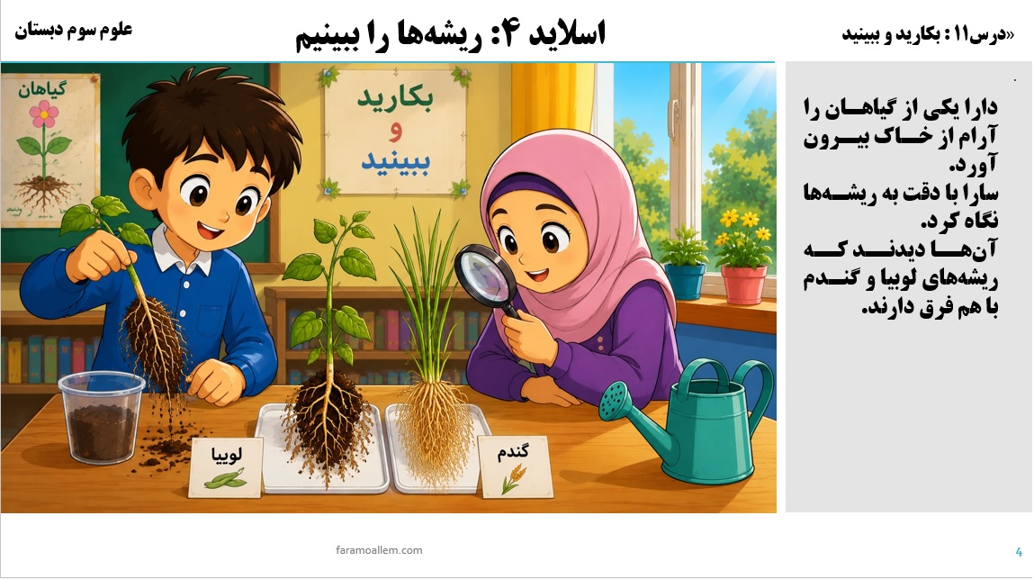 پاورپوینت علوم سوم درس 11 اسلاید 4