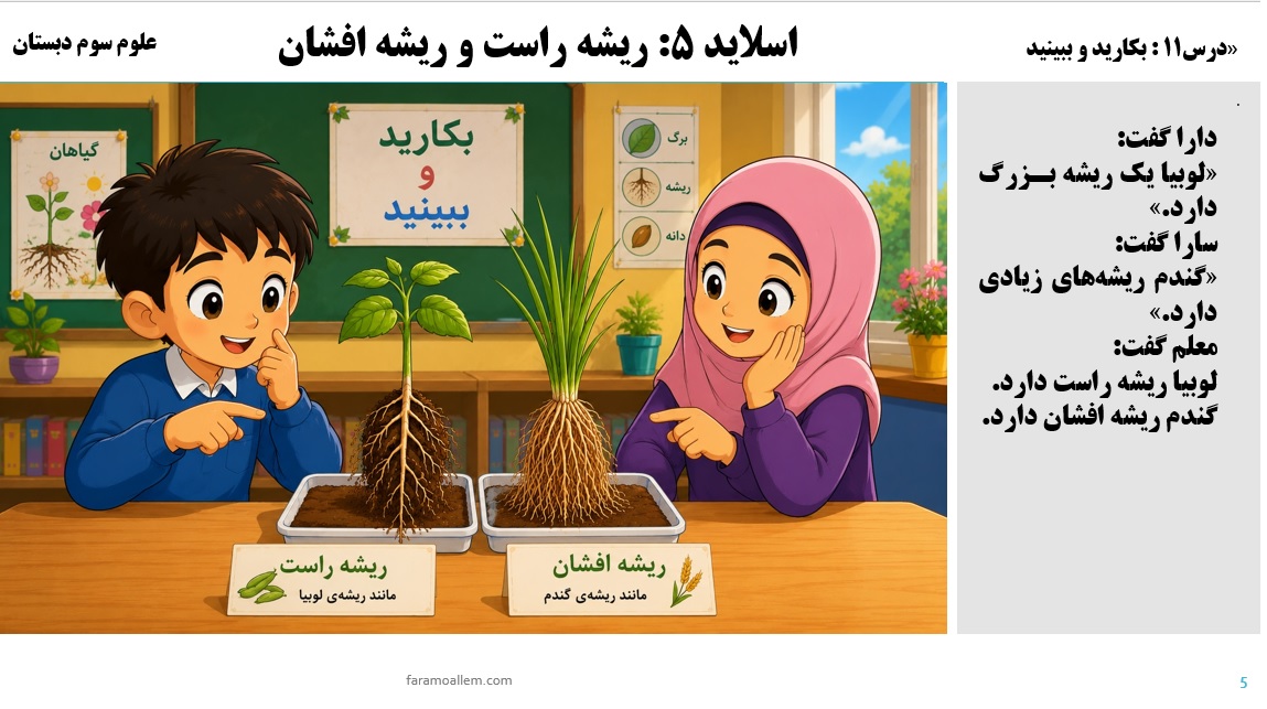 پاورپوینت علوم سوم درس 11 اسلاید 5