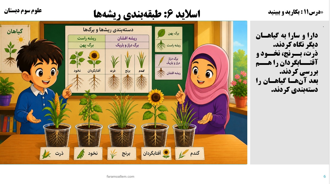 پاورپوینت علوم سوم درس 11 اسلاید 6