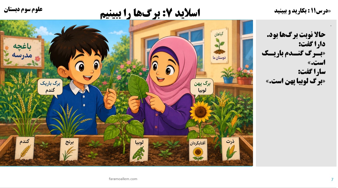 پاورپوینت علوم سوم درس 11 اسلاید 7