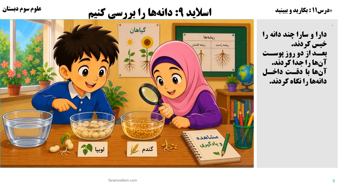 پاورپوینت علوم سوم درس 11 اسلاید 9