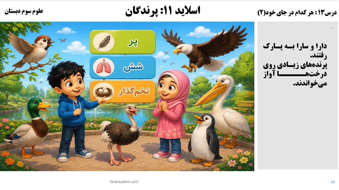 پاورپوینت علوم سوم درس 13 اسلاید 11
