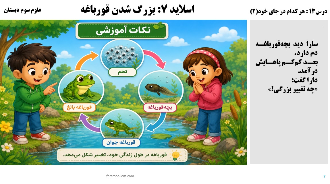 پاورپوینت علوم سوم درس 13 اسلاید 7
